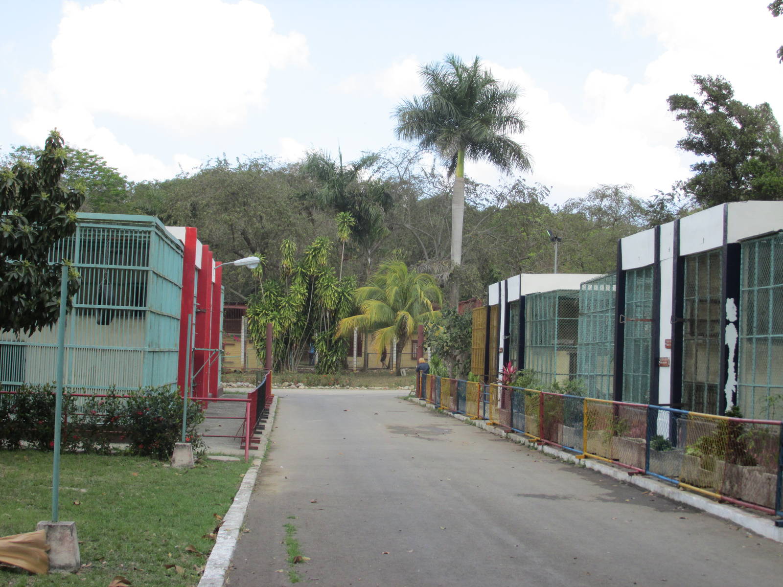 primate area zoologico nacional