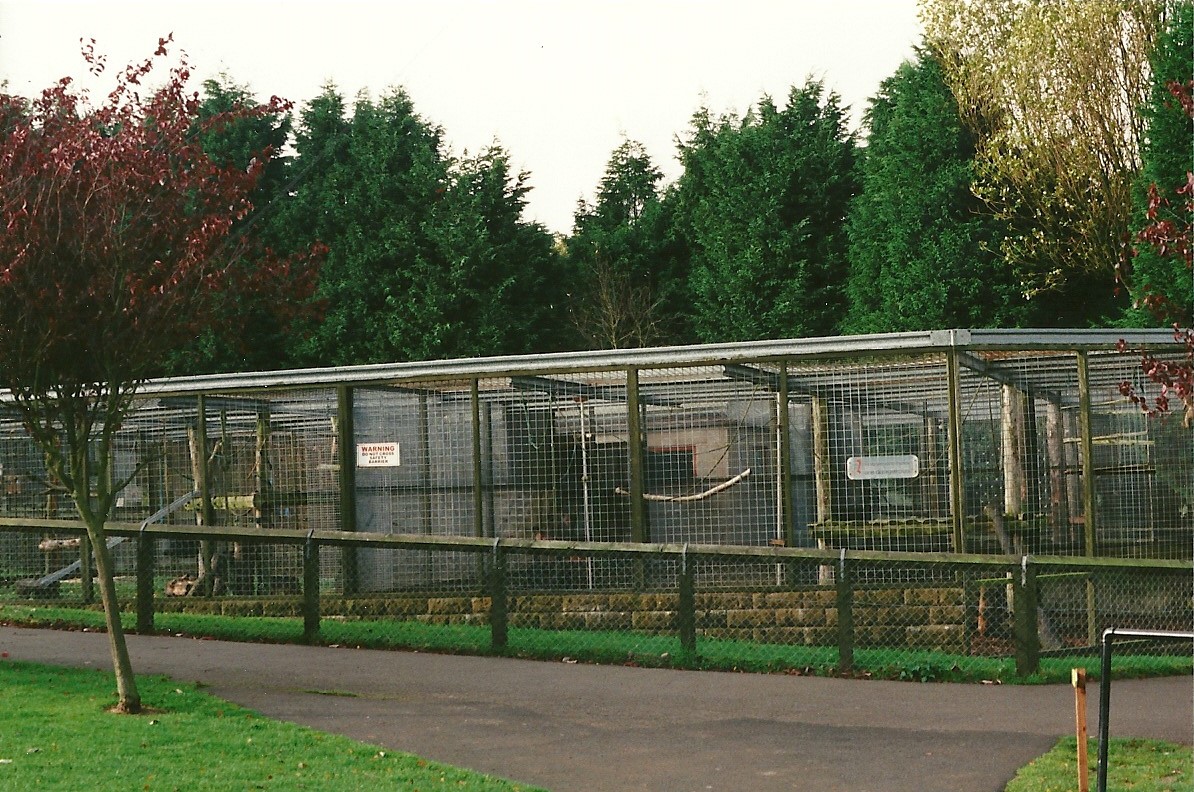 Primate block 23rd October 1999