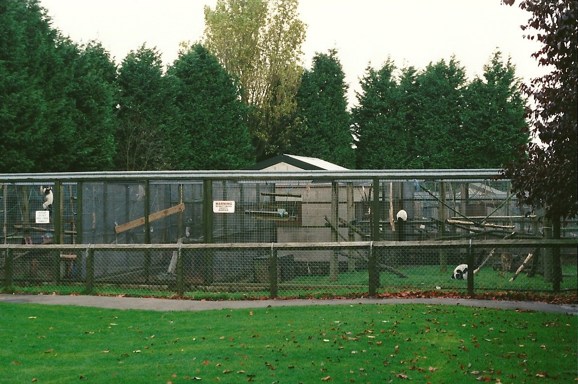 Primate block 23rd October 1999