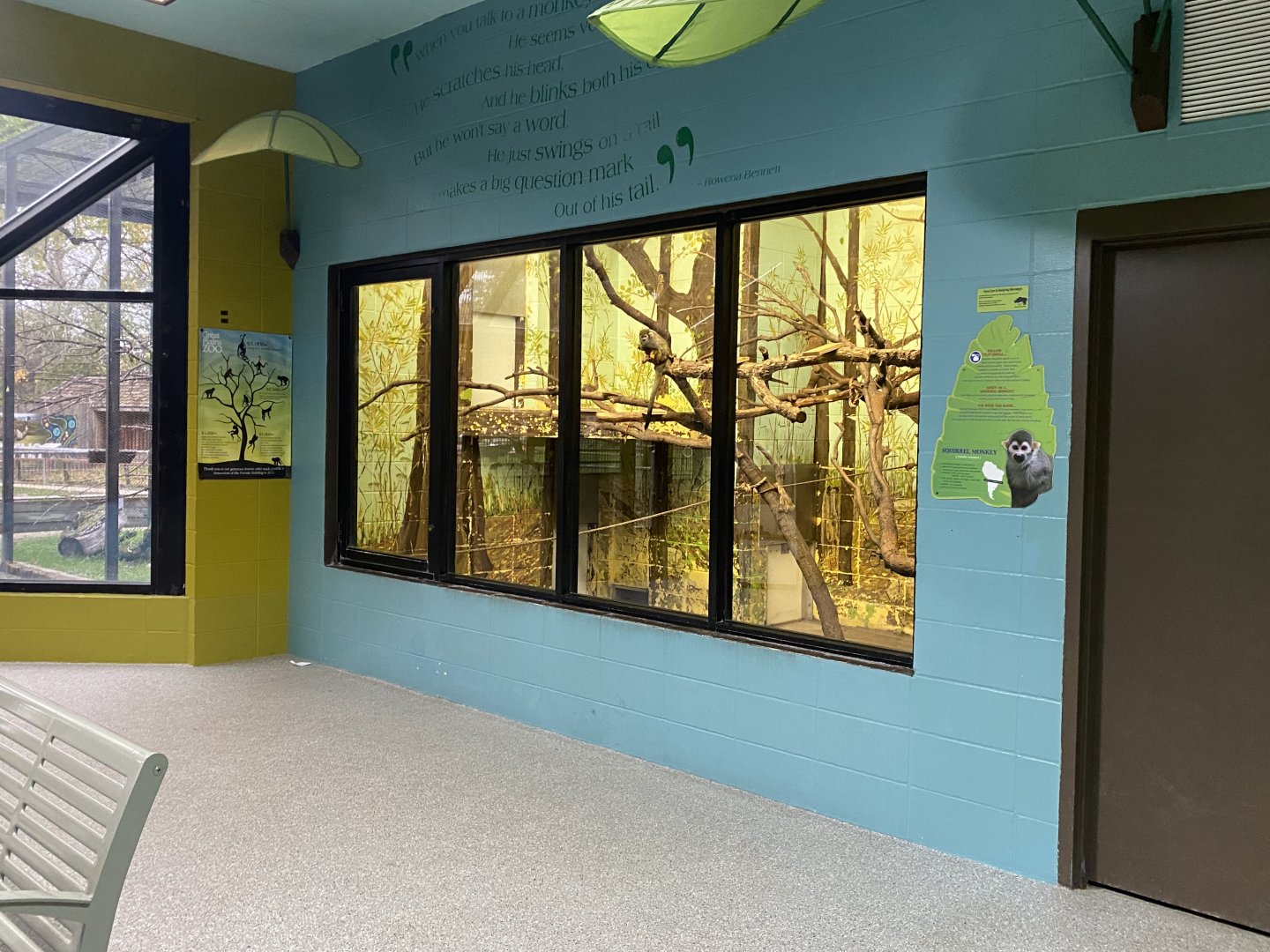 Primate Building - Common Squirrel Monkey Exhibit