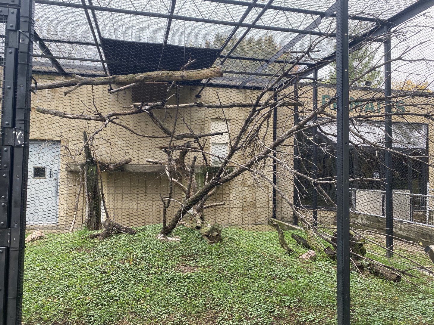 Primate Building - Common Squirrel Monkey Outdoor Exhibit