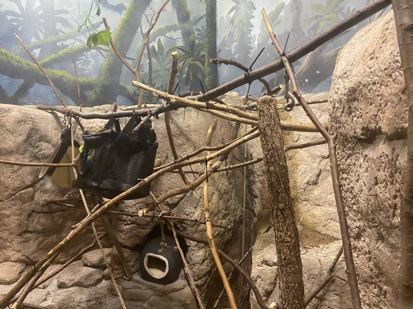 Primate Building - Emperor Tamarin Exhibit