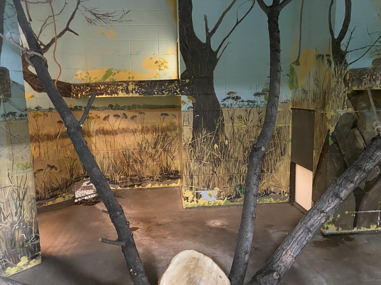 Primate Building - Former Siamang Exhibit