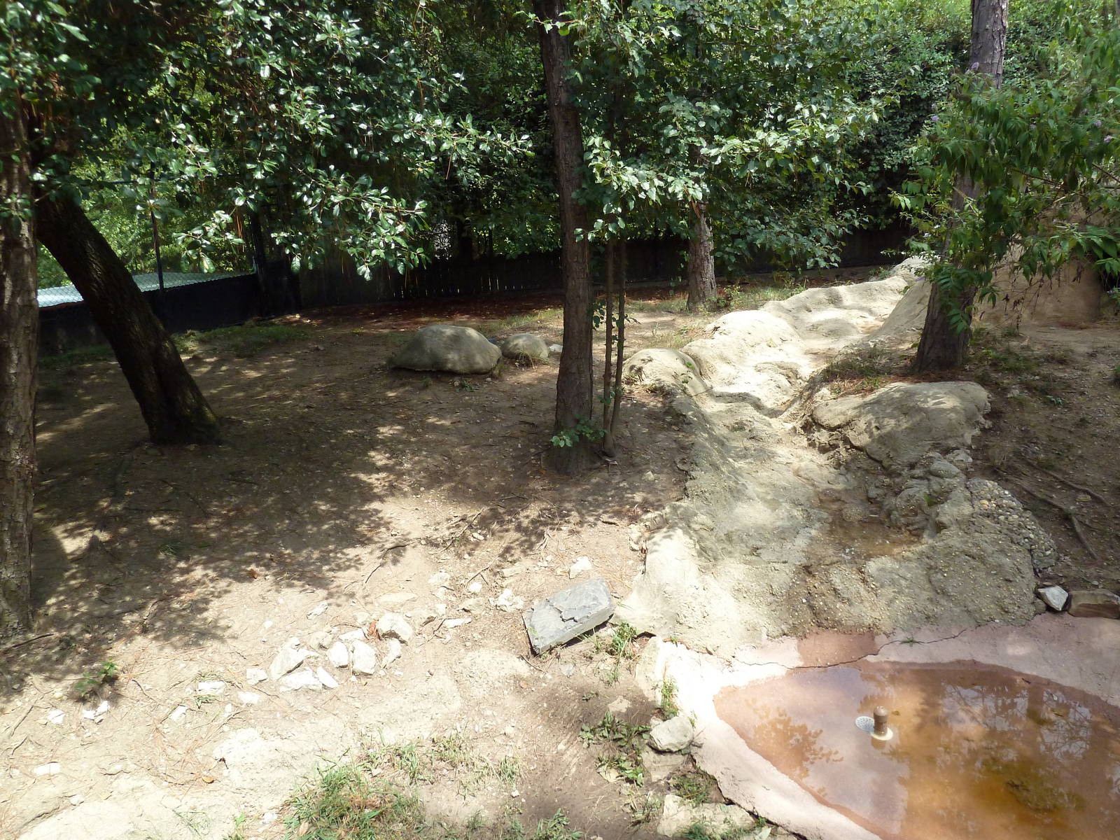 Primate Building - Giant Anteater Exhibit