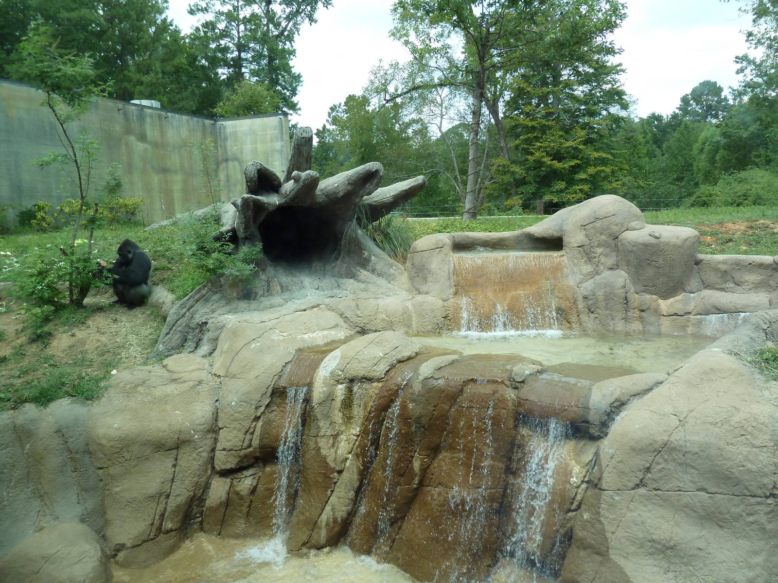 Primate Building - Gorilla Exhibit