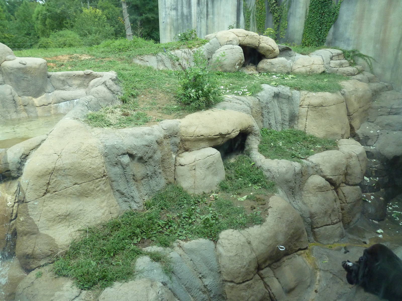 Primate Building - Gorilla Exhibit