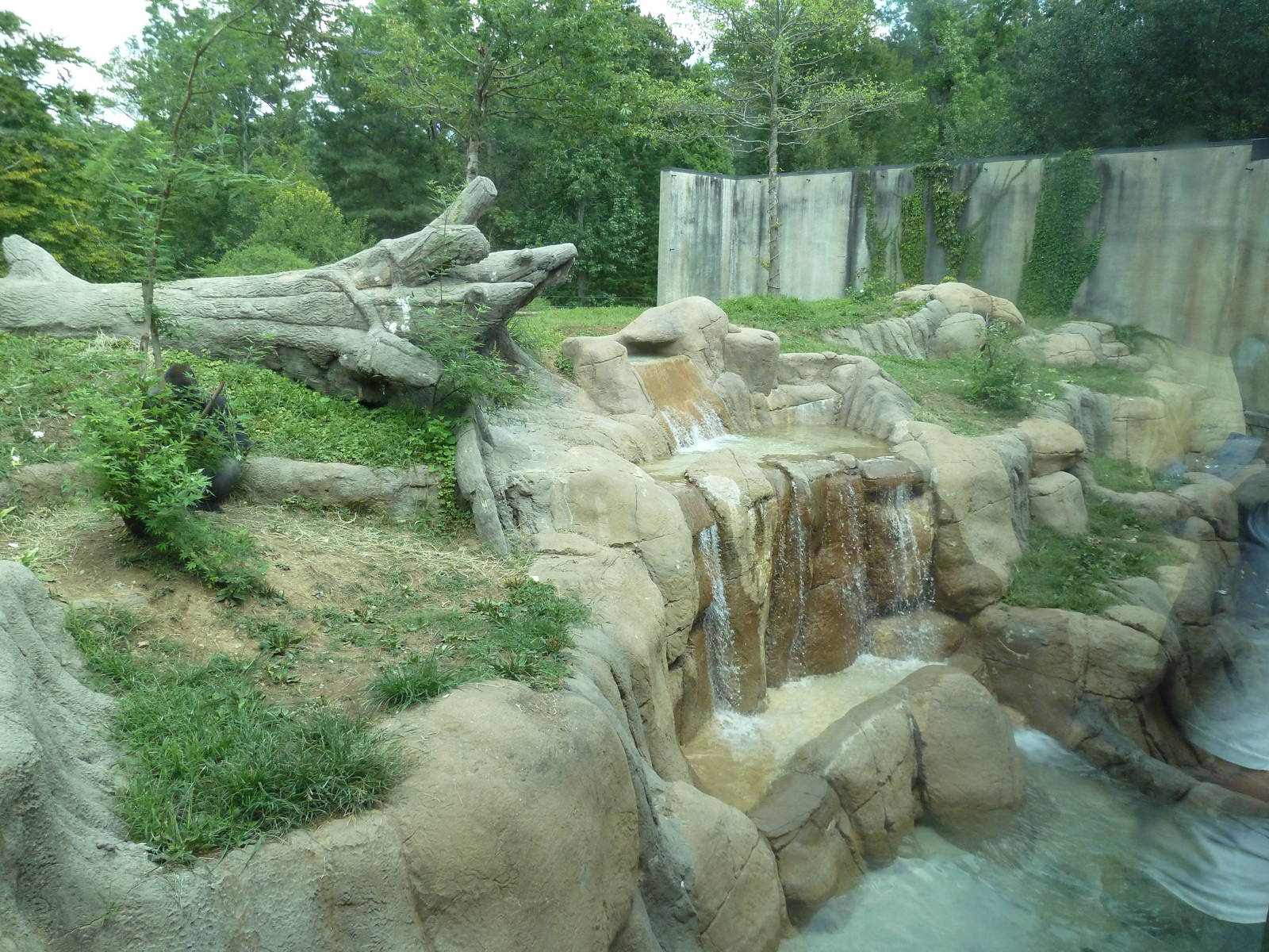 Primate Building - Gorilla Exhibit