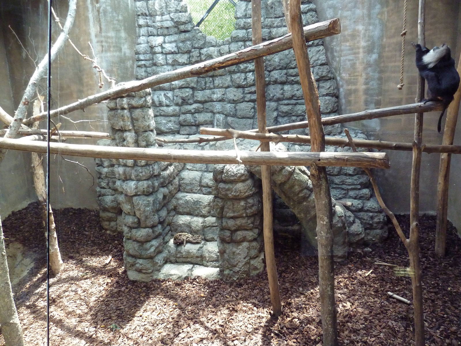 Primate Building - Lion-Tailed Macaque Exhibit