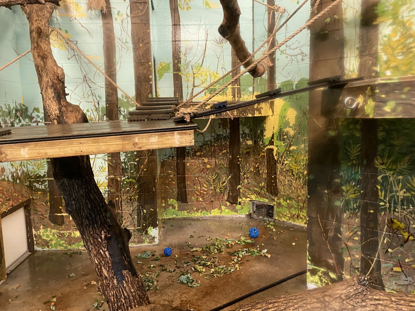 Primate Building - Mantled Guereza Exhibit