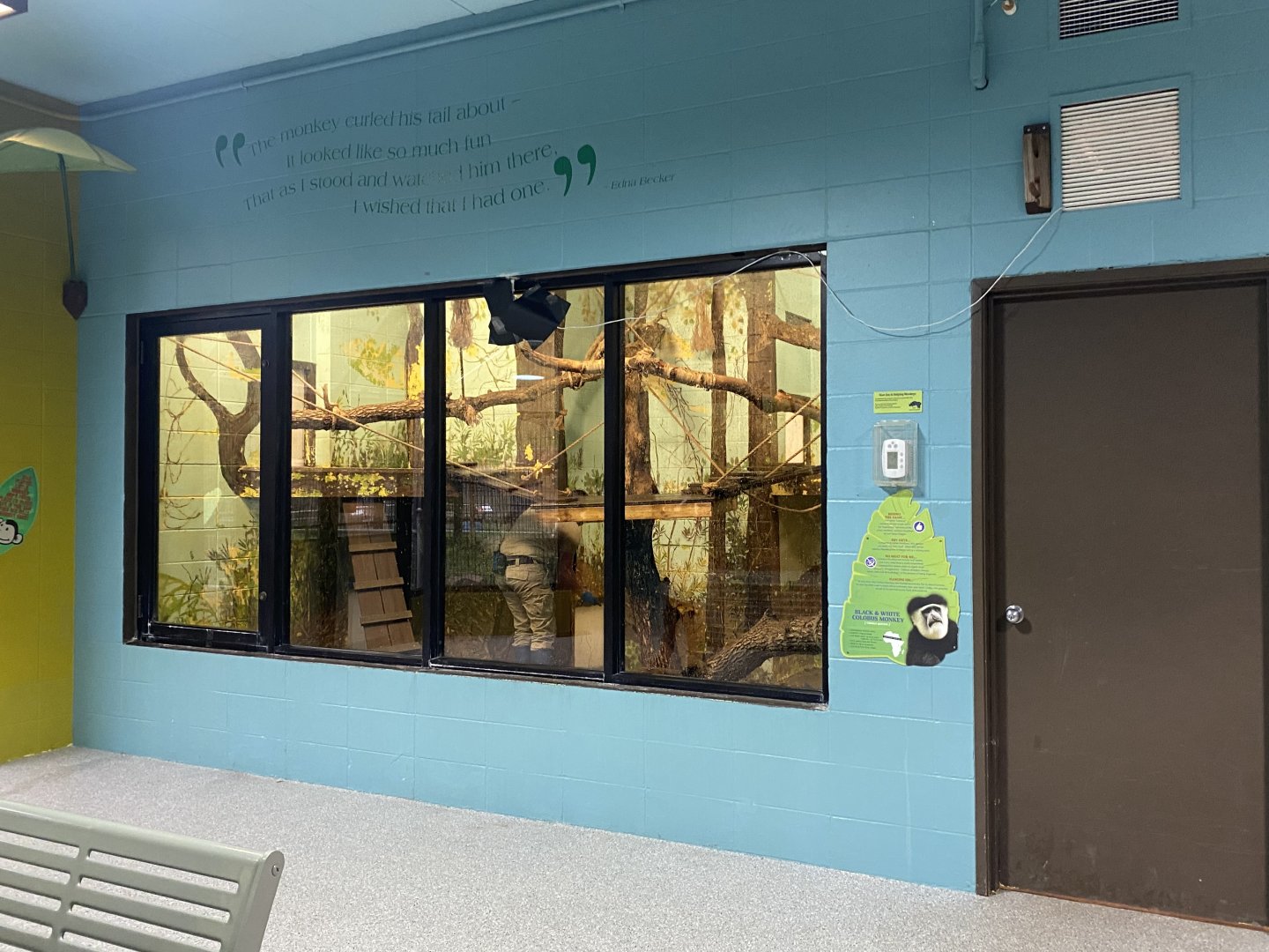 Primate Building - Mantled Guereza Exhibit