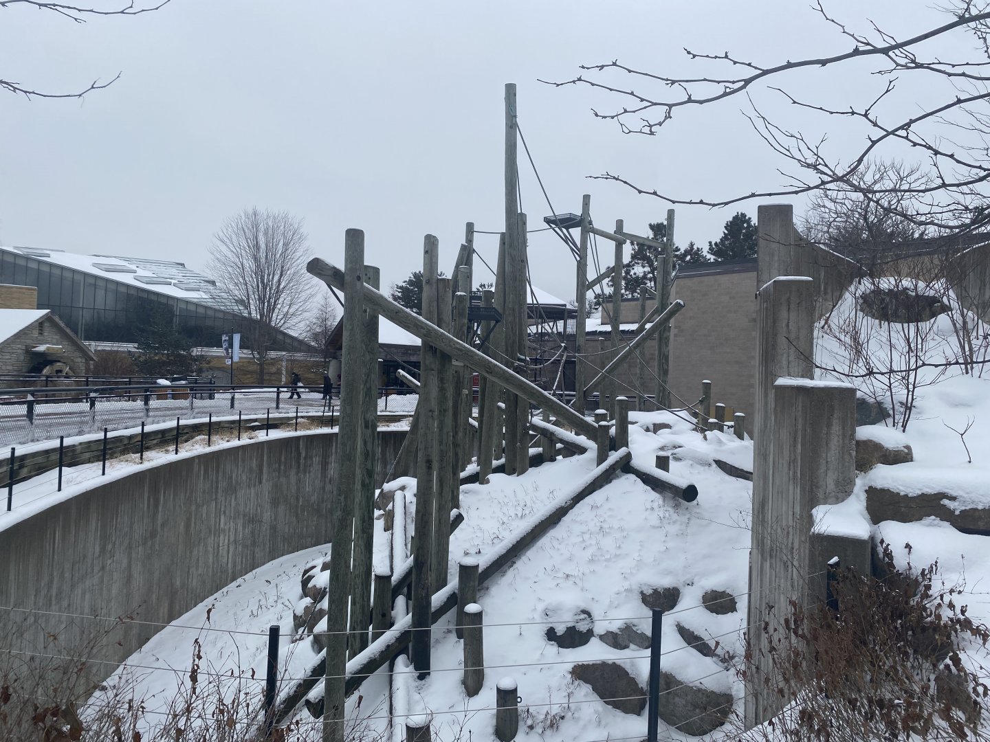 Primate Building - Outdoor Sumatran Orangutan Exhibit