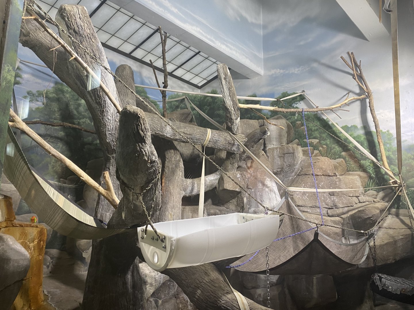 Primate Building - Patas Monkey Exhibit