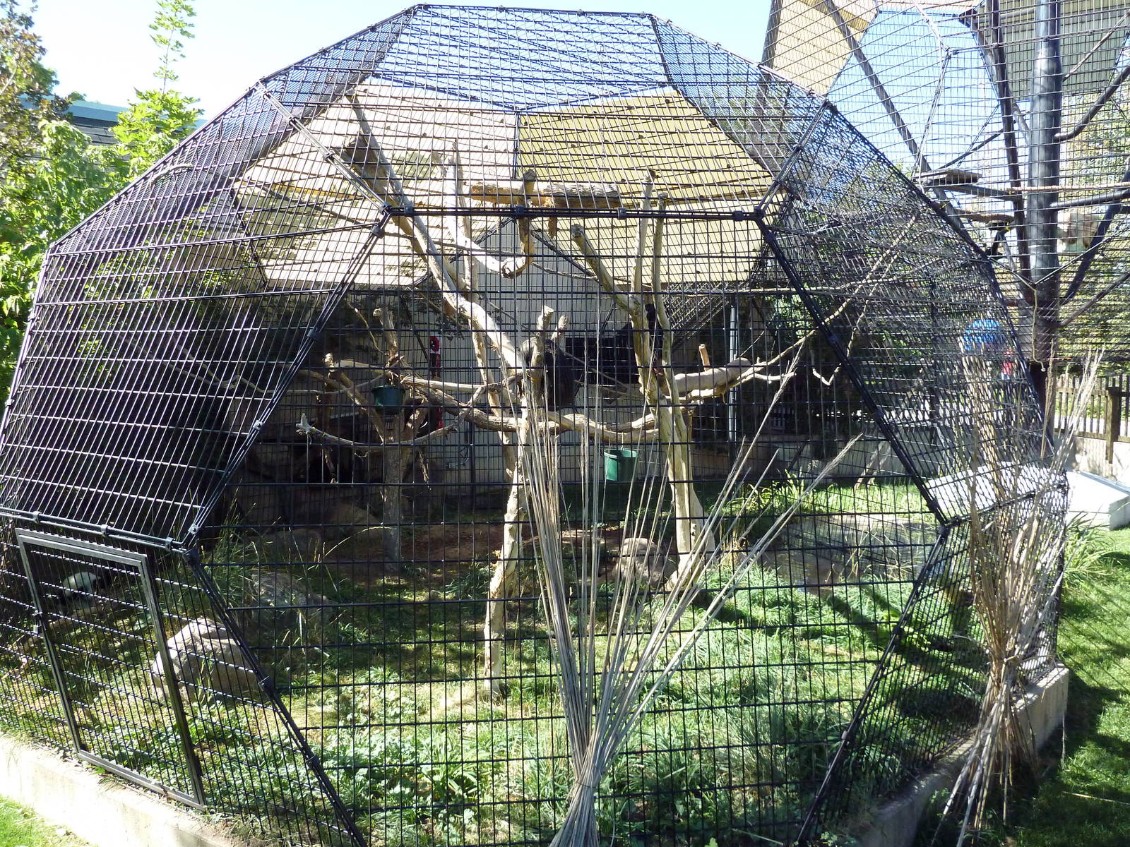 Primate Building - Rotation Cage