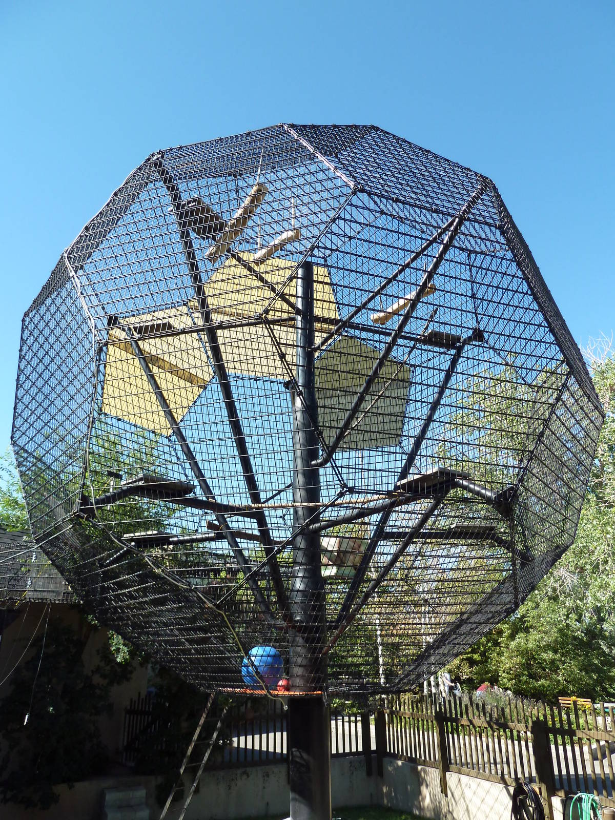 Primate Building - Rotation Cage
