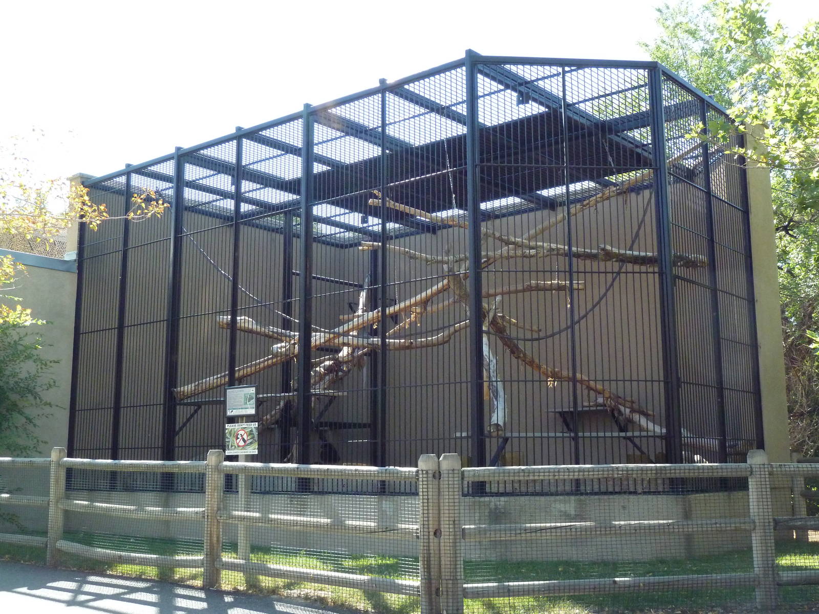 Primate Building - Schmidt's Guenon Exhibit