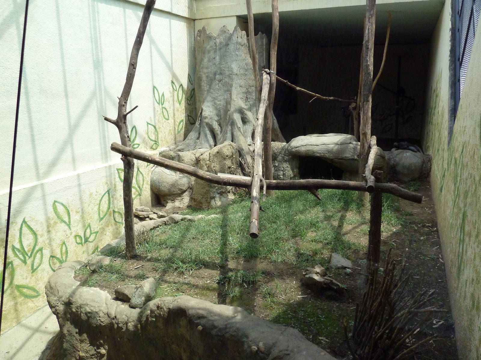 Primate Building - Spectacled Langur Exhibit