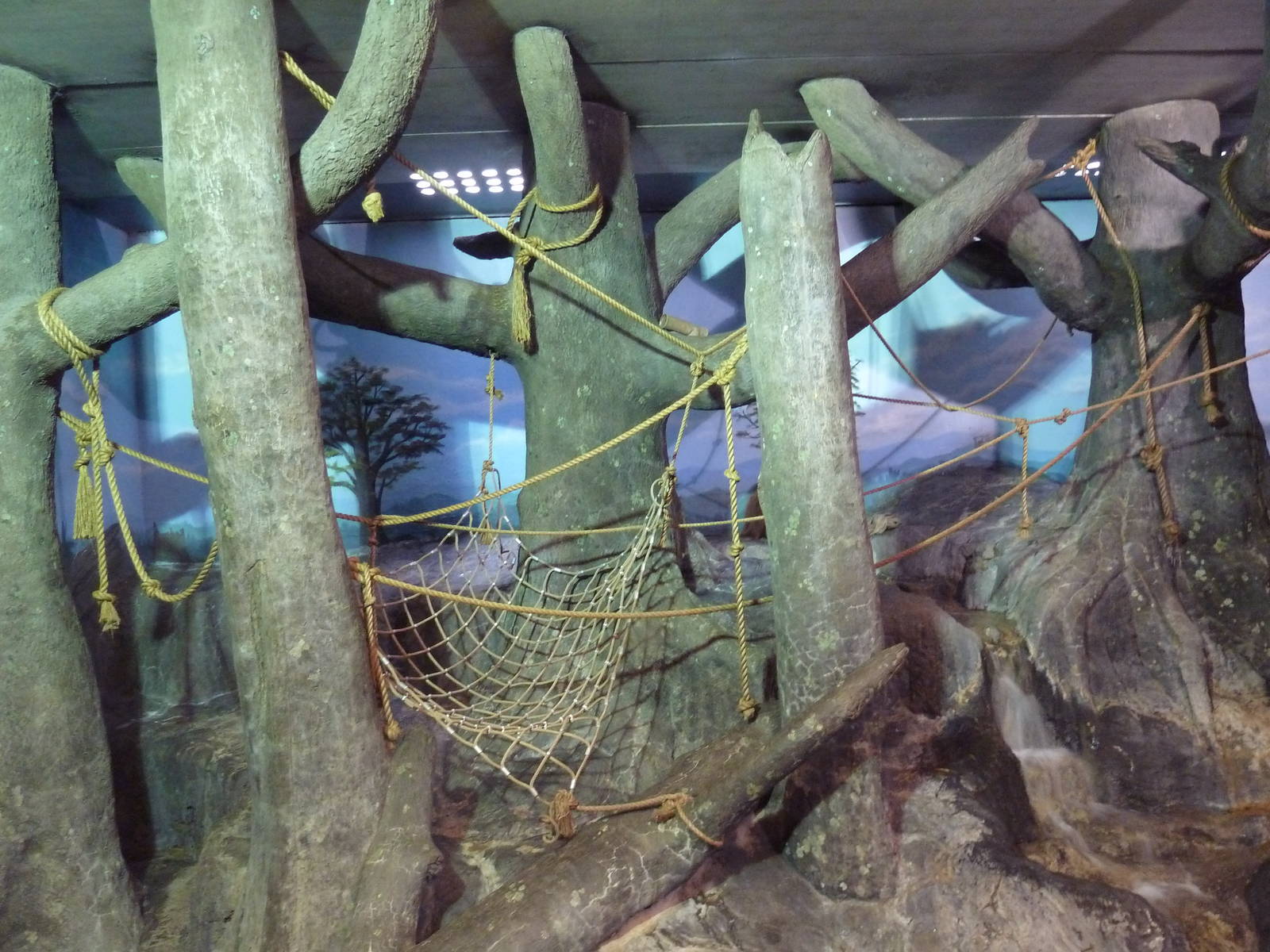 Primate Building - Sumatran Orangutan Exhibit