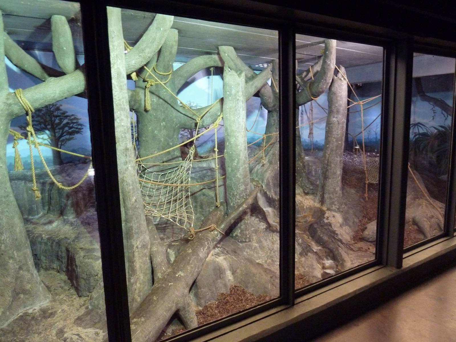 Primate Building - Sumatran Orangutan Exhibit