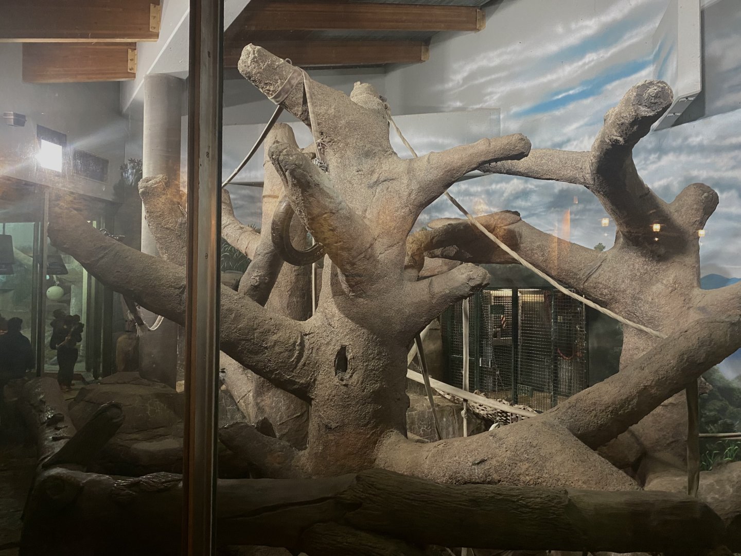 Primate Building - Sumatran Orangutan Exhibit