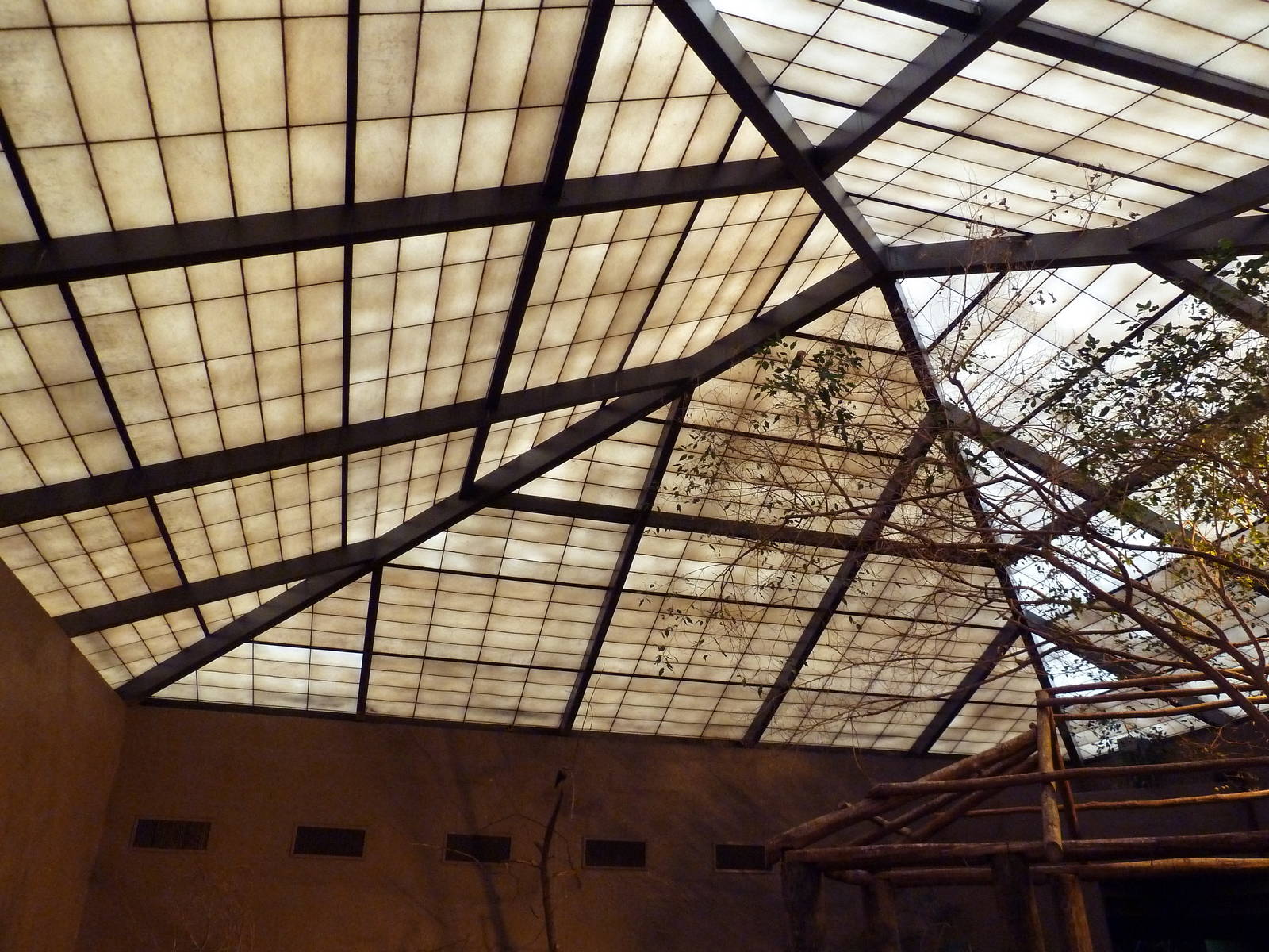 Primate Building - Walk-Through Bird Aviary Roof