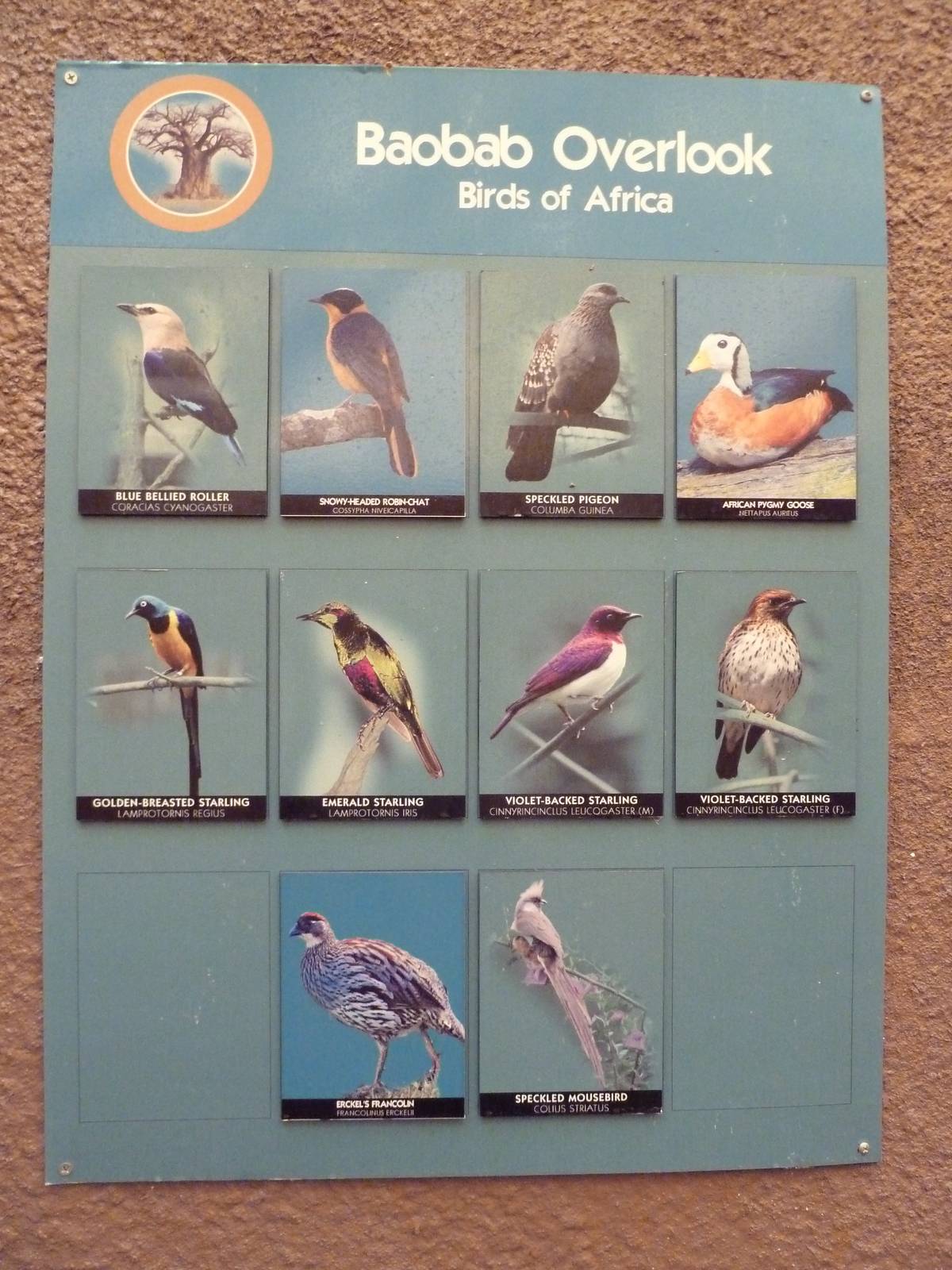 Primate Building - Walk-Through Bird Aviary Signage