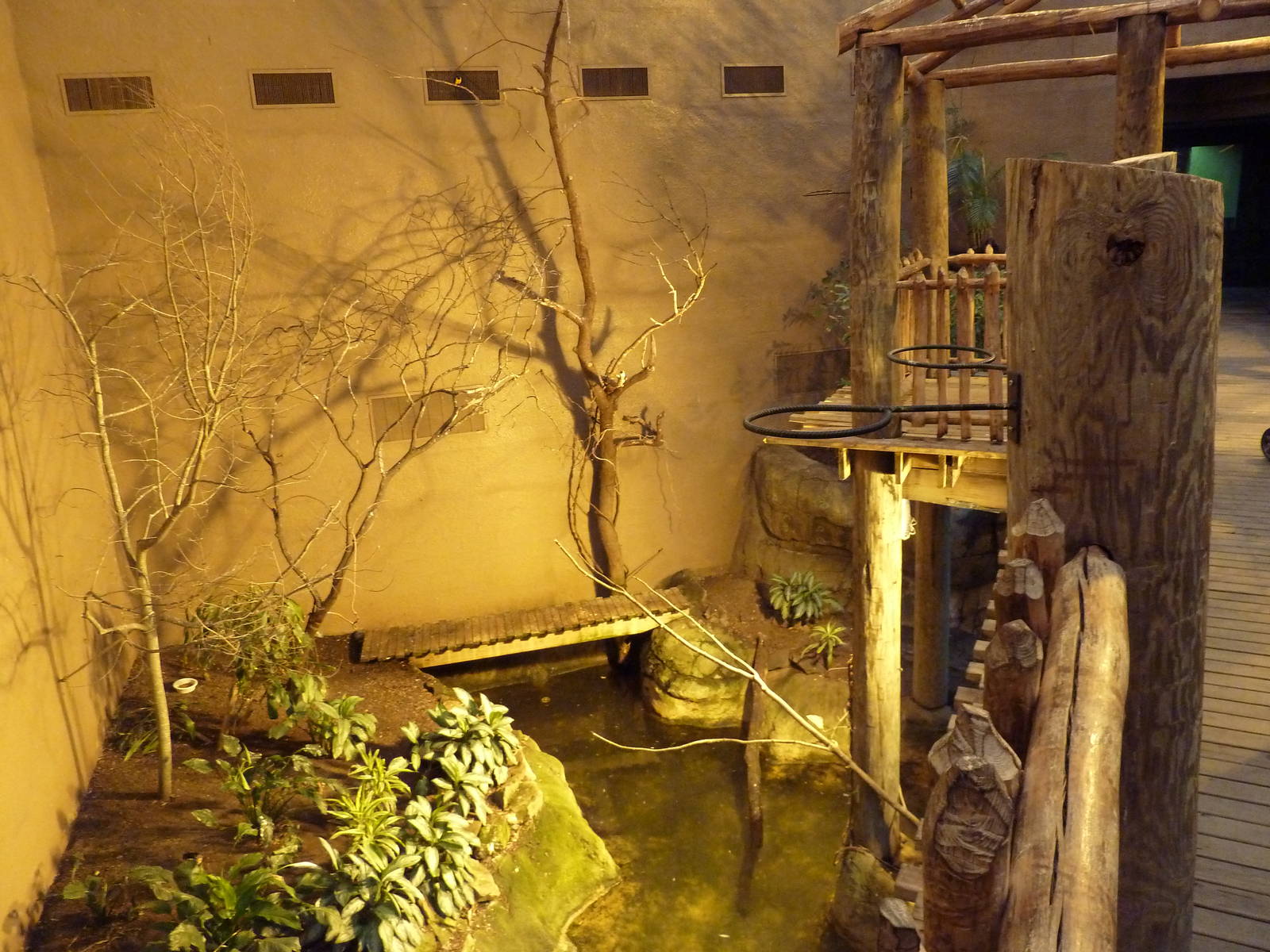 Primate Building - Walk-Through Bird Aviary