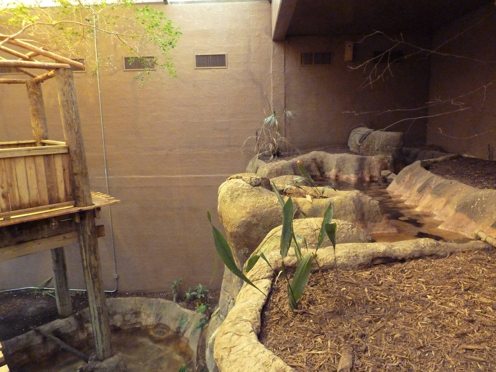 Primate Building - Walk-Through Bird Aviary