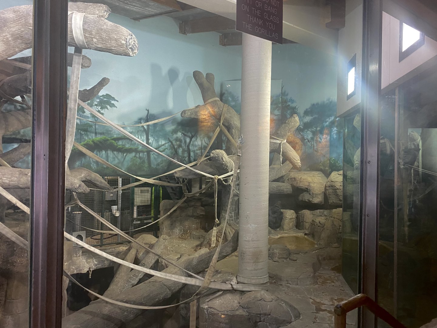 Primate Building - Western Lowland Gorilla Exhibit