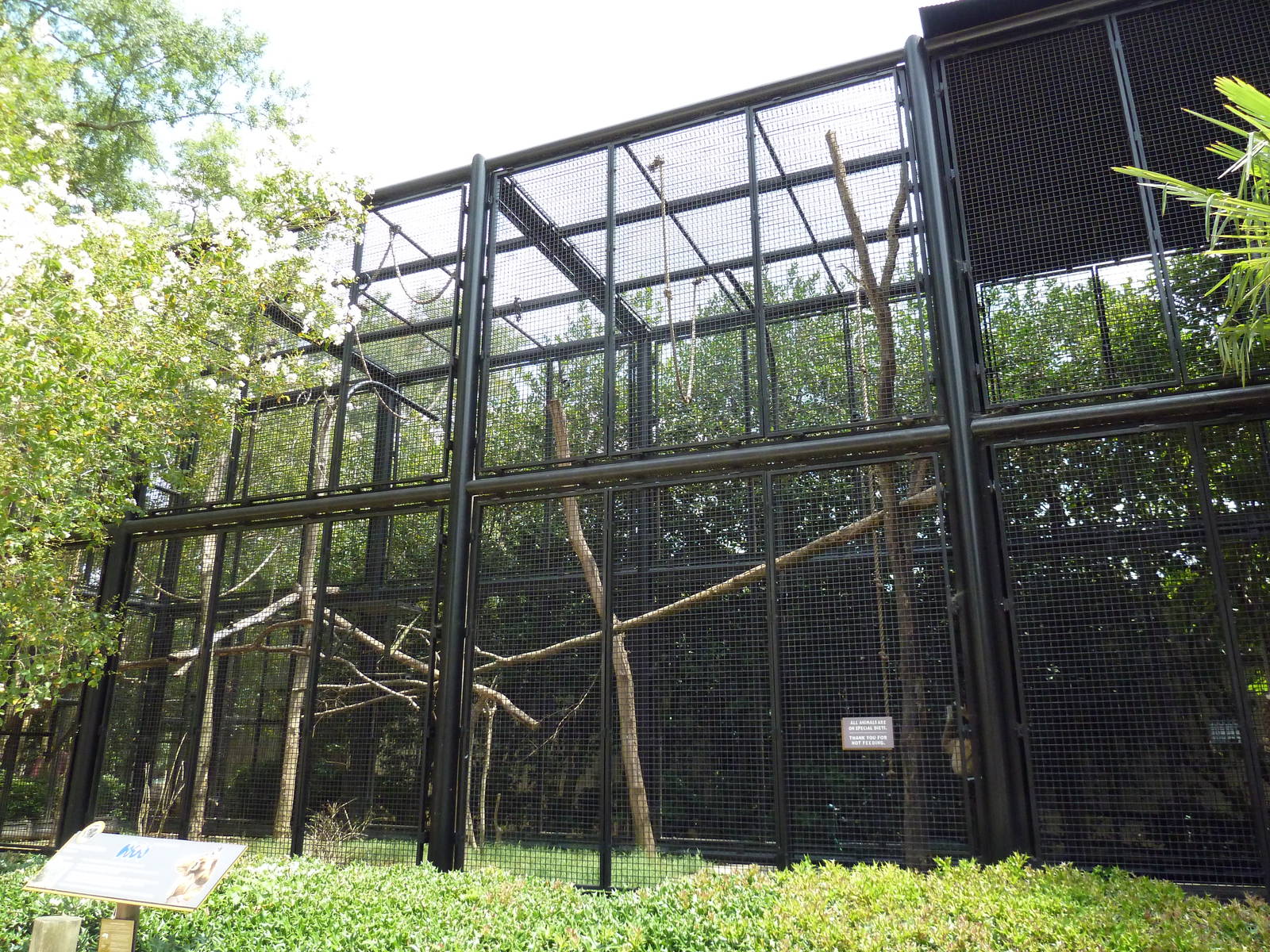 Primate Building - White-Handed Gibbon Exhibit