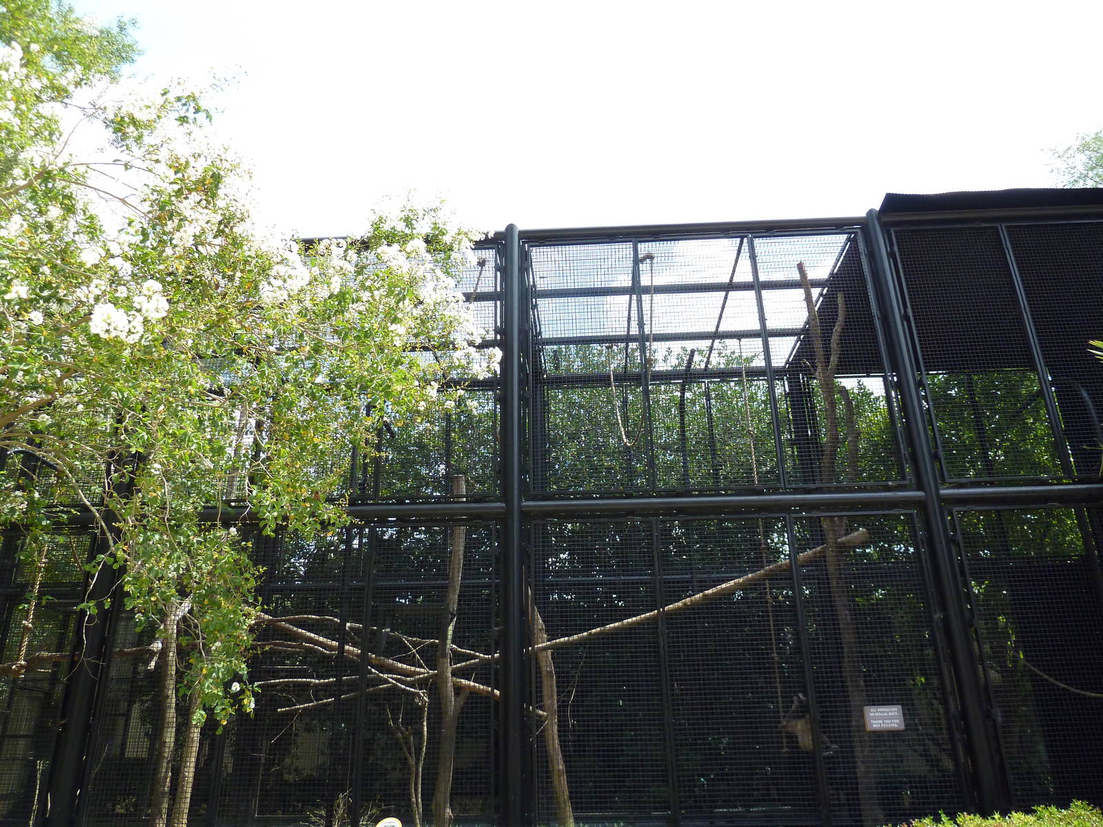 Primate Building - White-Handed Gibbon Exhibit
