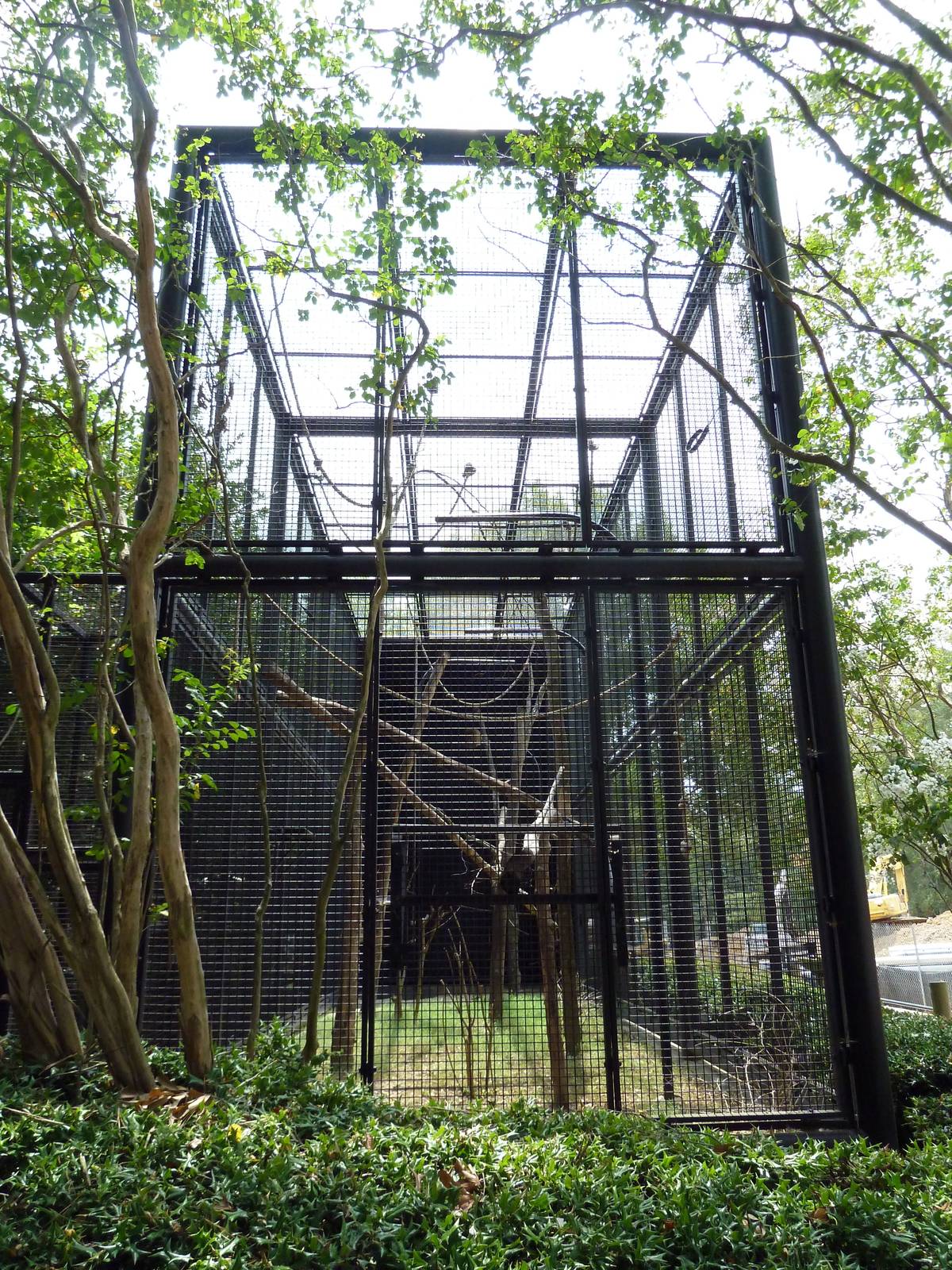 Primate Building - White-Handed Gibbon Exhibit