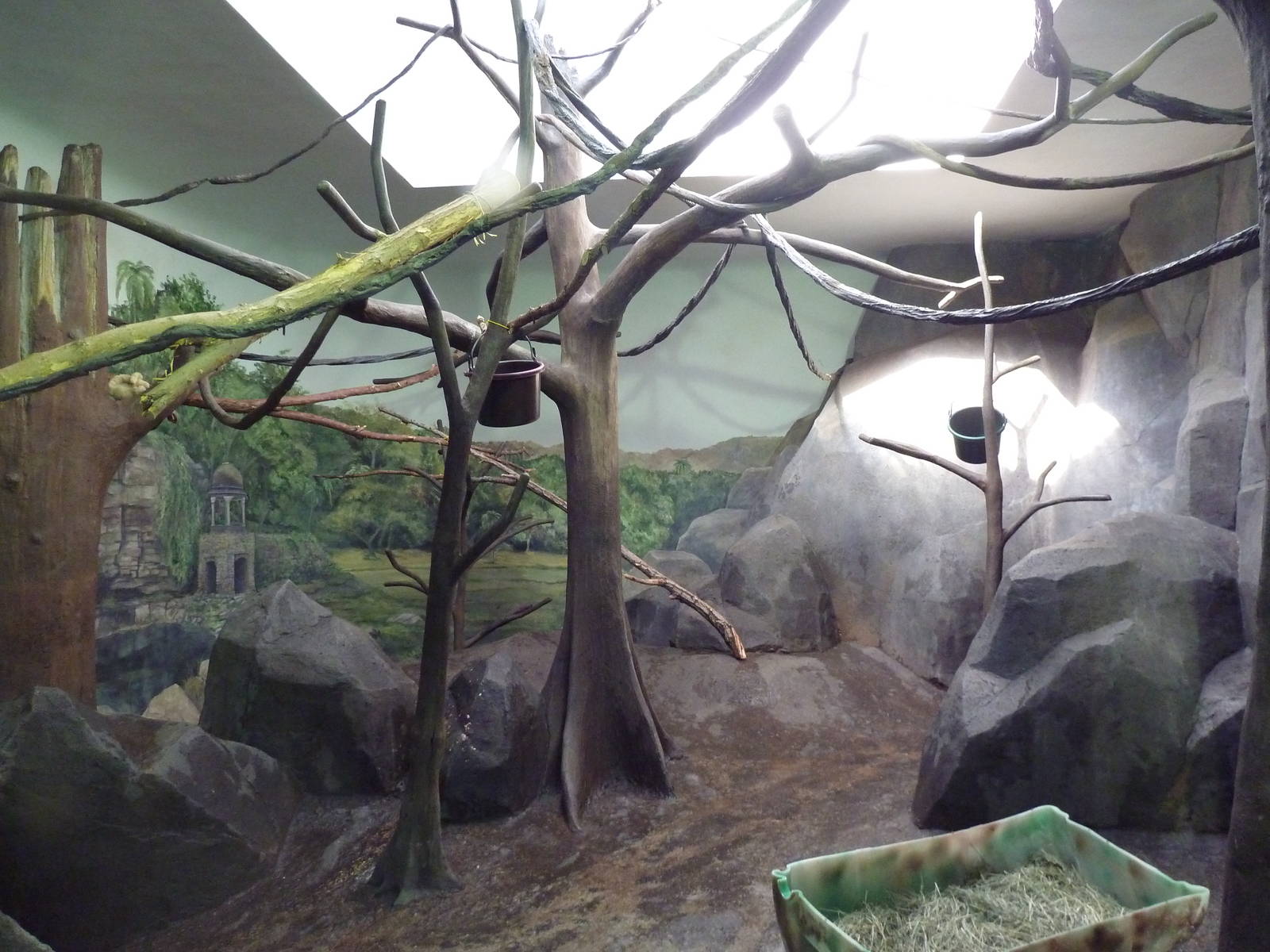 Primate Building - White-Handed Gibbon Exhibit
