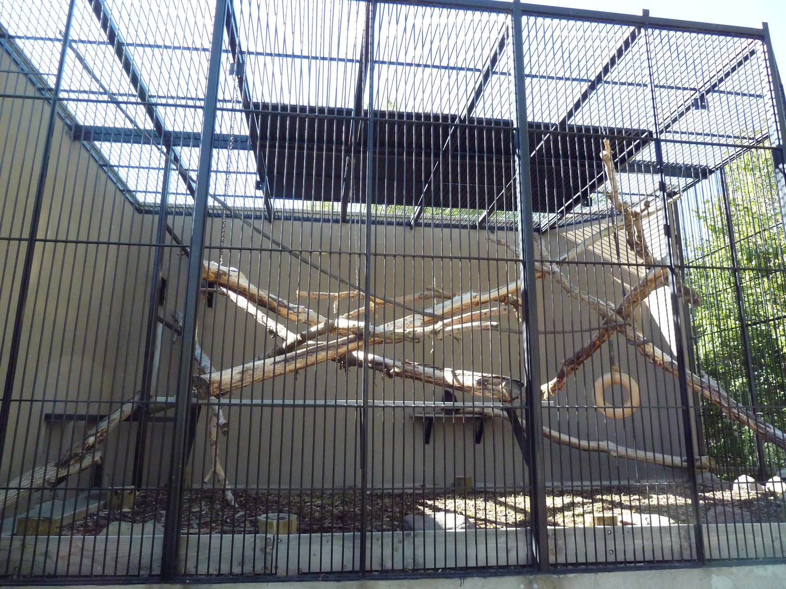 Primate Building - White-Handed Gibbon Exhibit