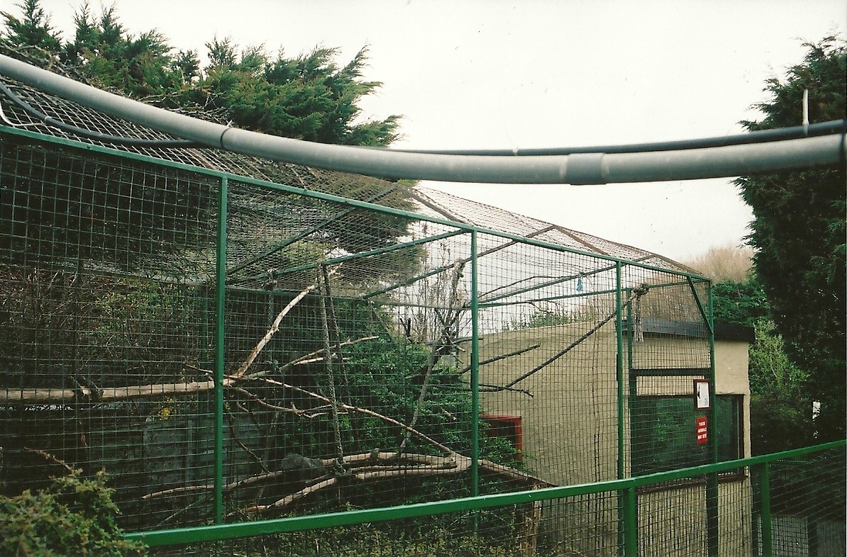 Primate cage 16th April 2004