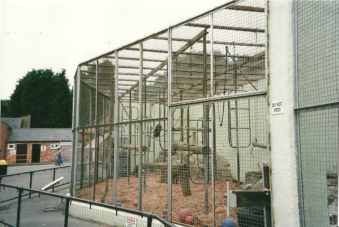 Primate cage 22nd July 2000