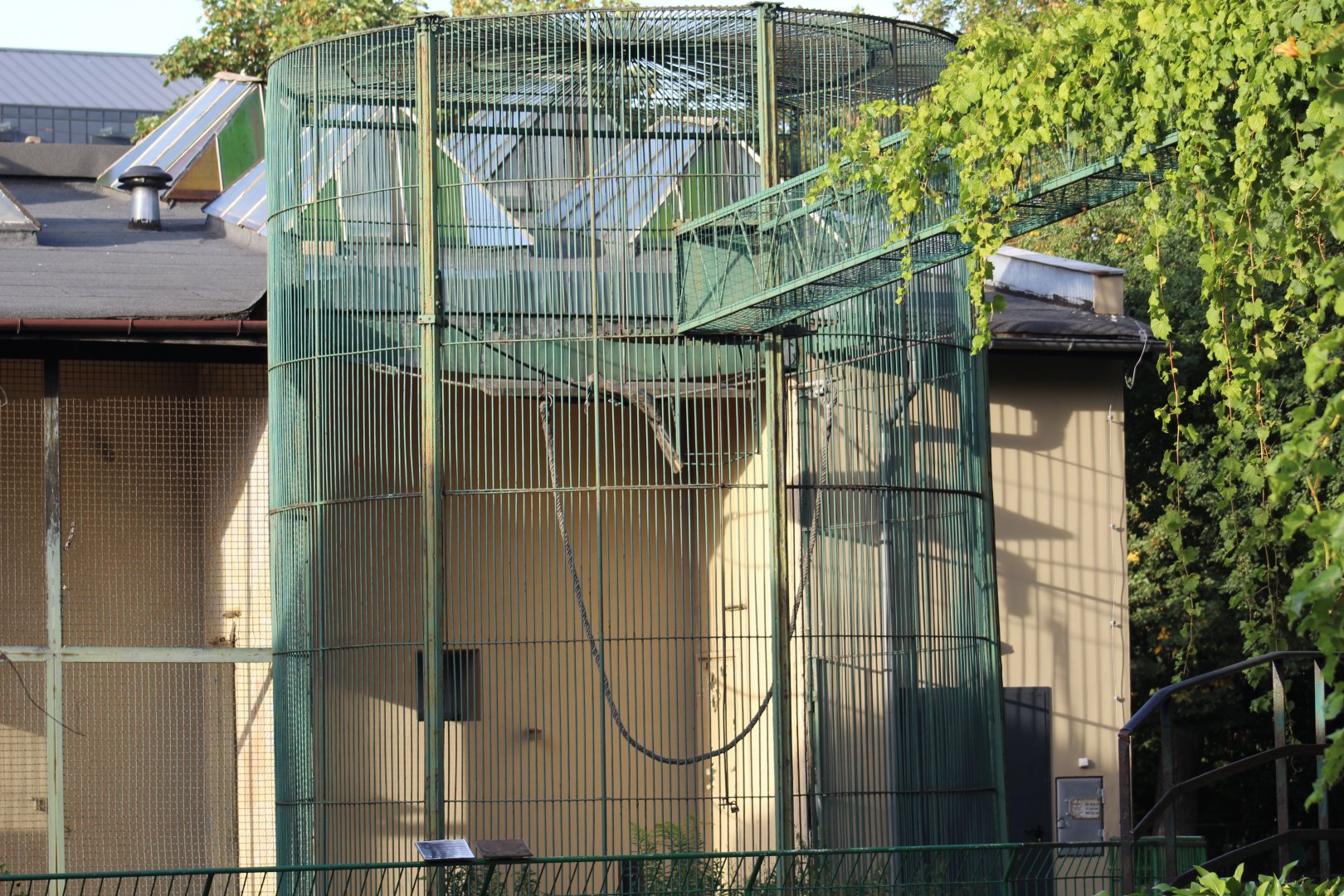 Primate Cage & Catwalk