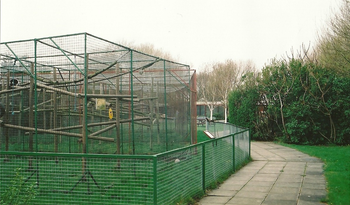 Primate cages 16th April 2004
