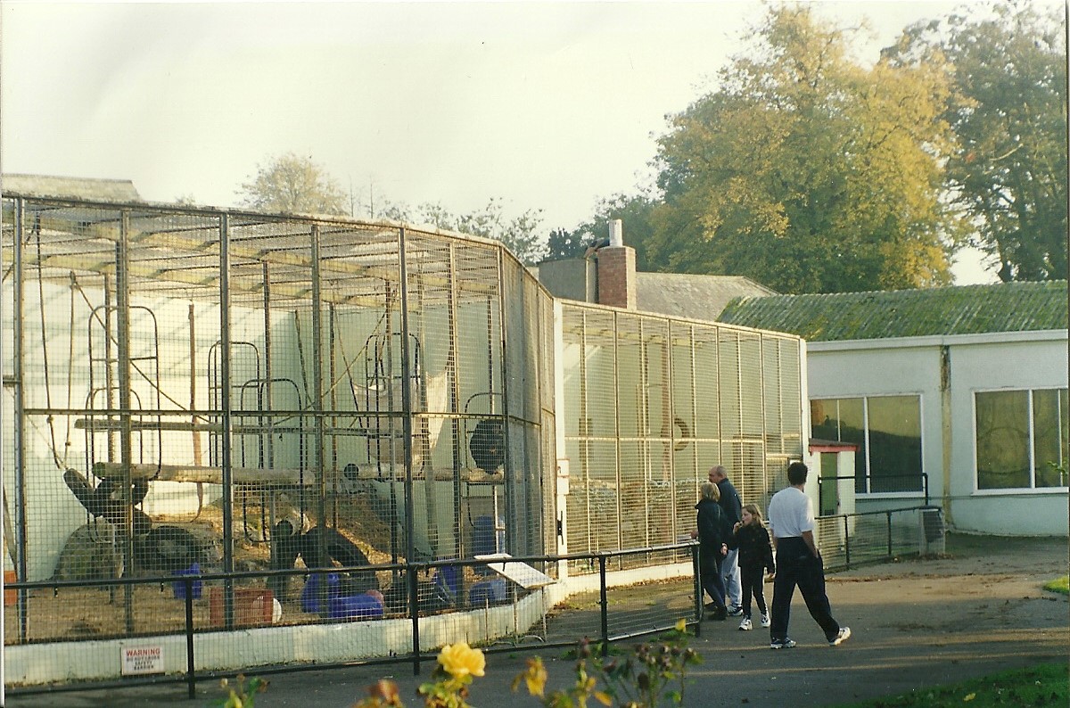 Primate cages 17th October 1997