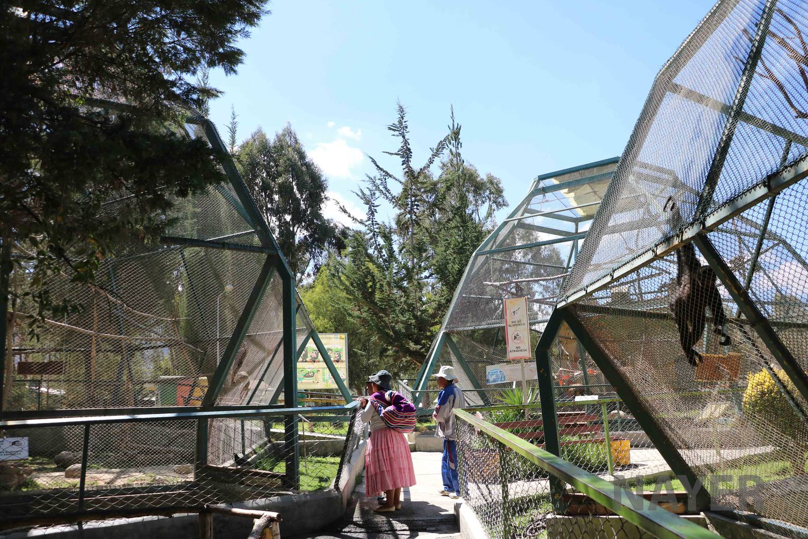 Primate cages, March 2016