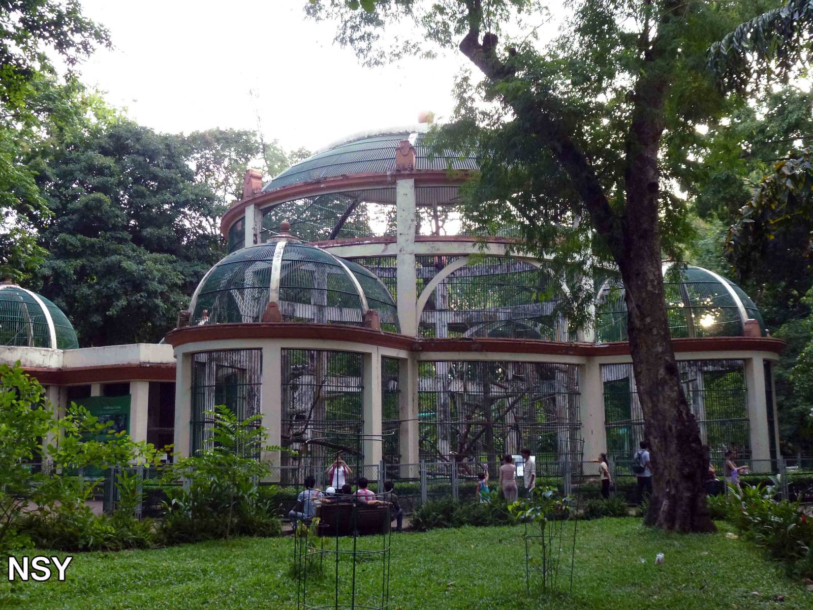 Primate cages, May 2013.