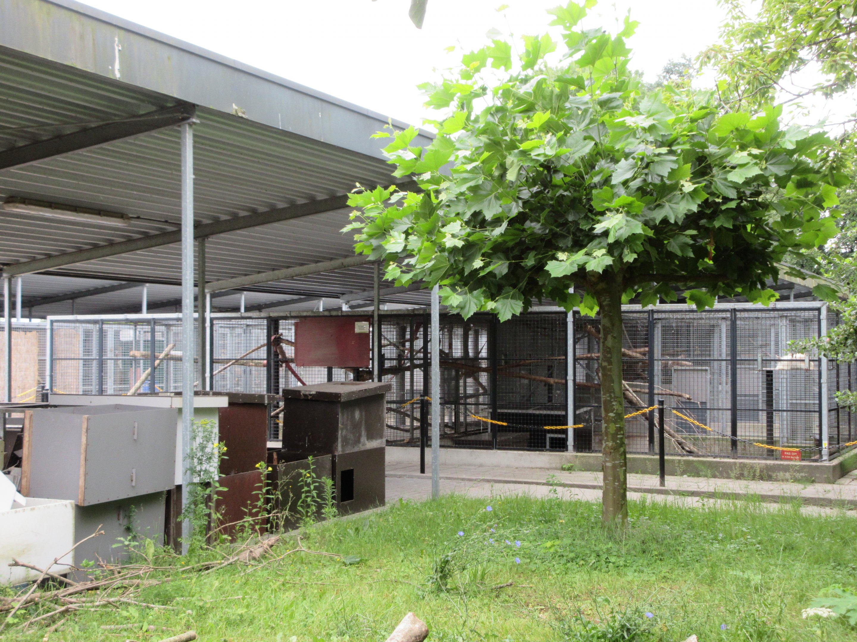 Primate Cages (off-show)