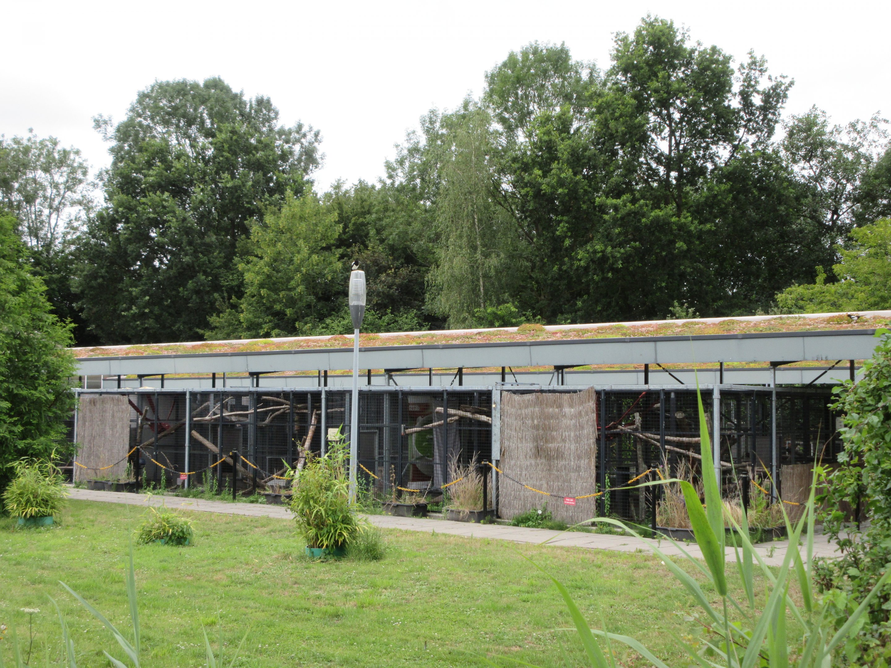 Primate Cages (only able to be viewed from a distance)