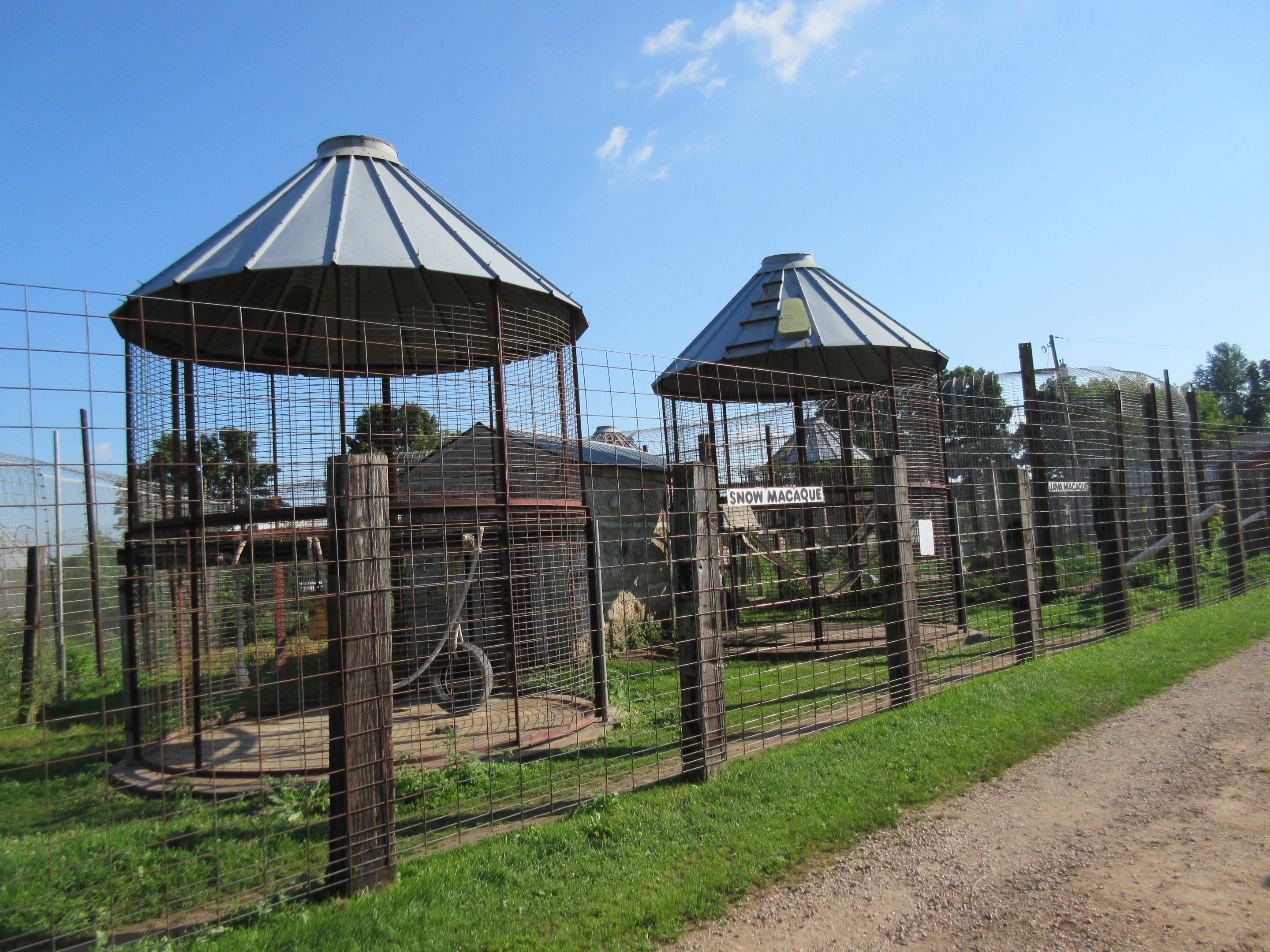 Primate Cages