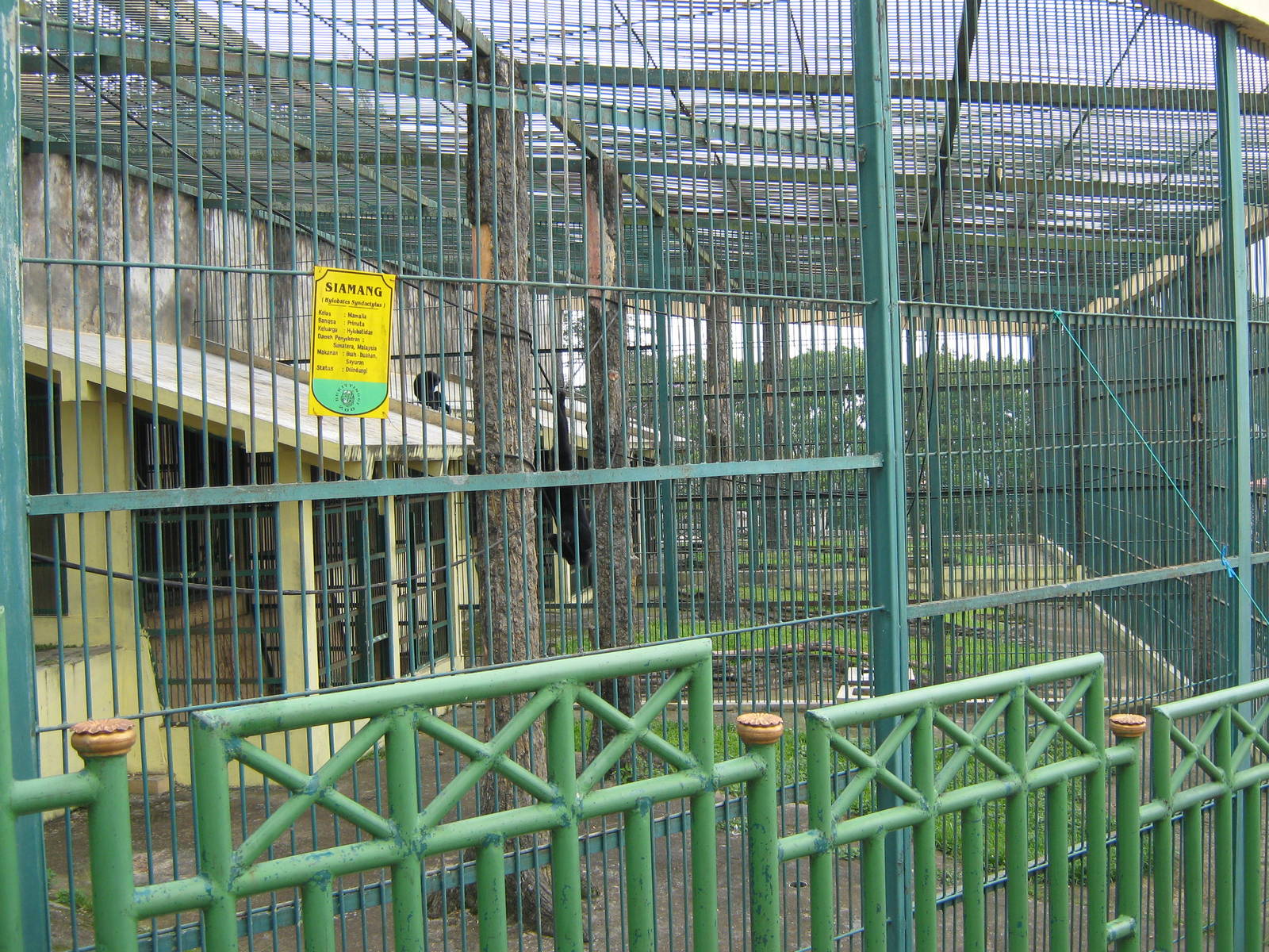 primate cages