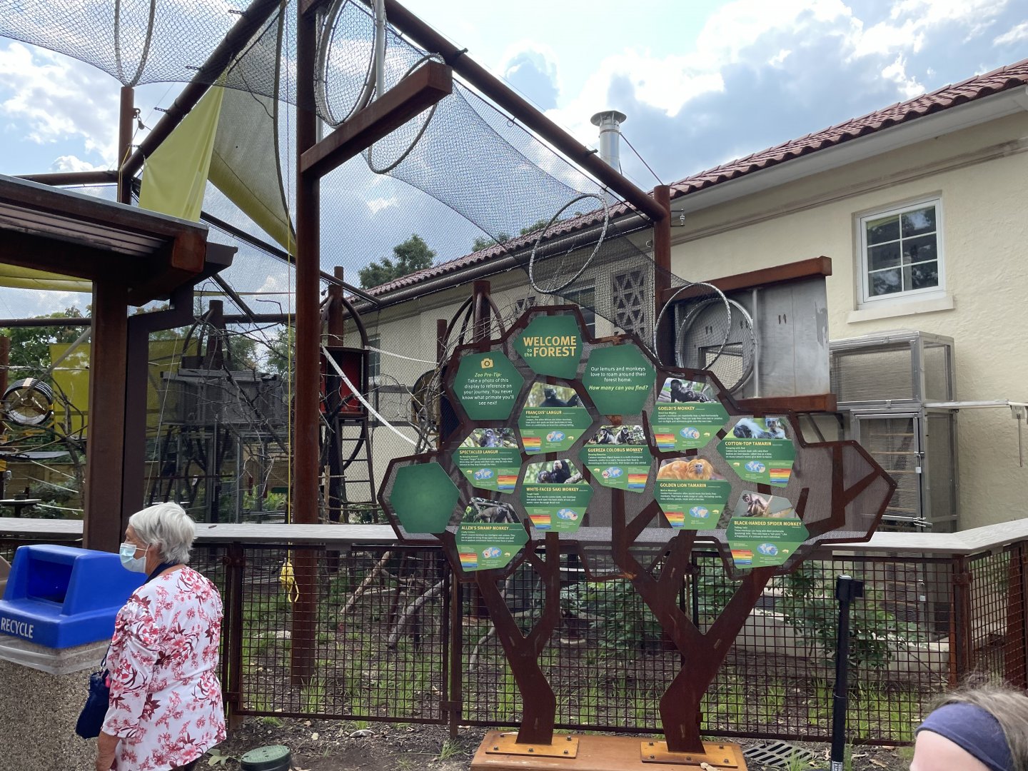 Primate Canopy Trail
