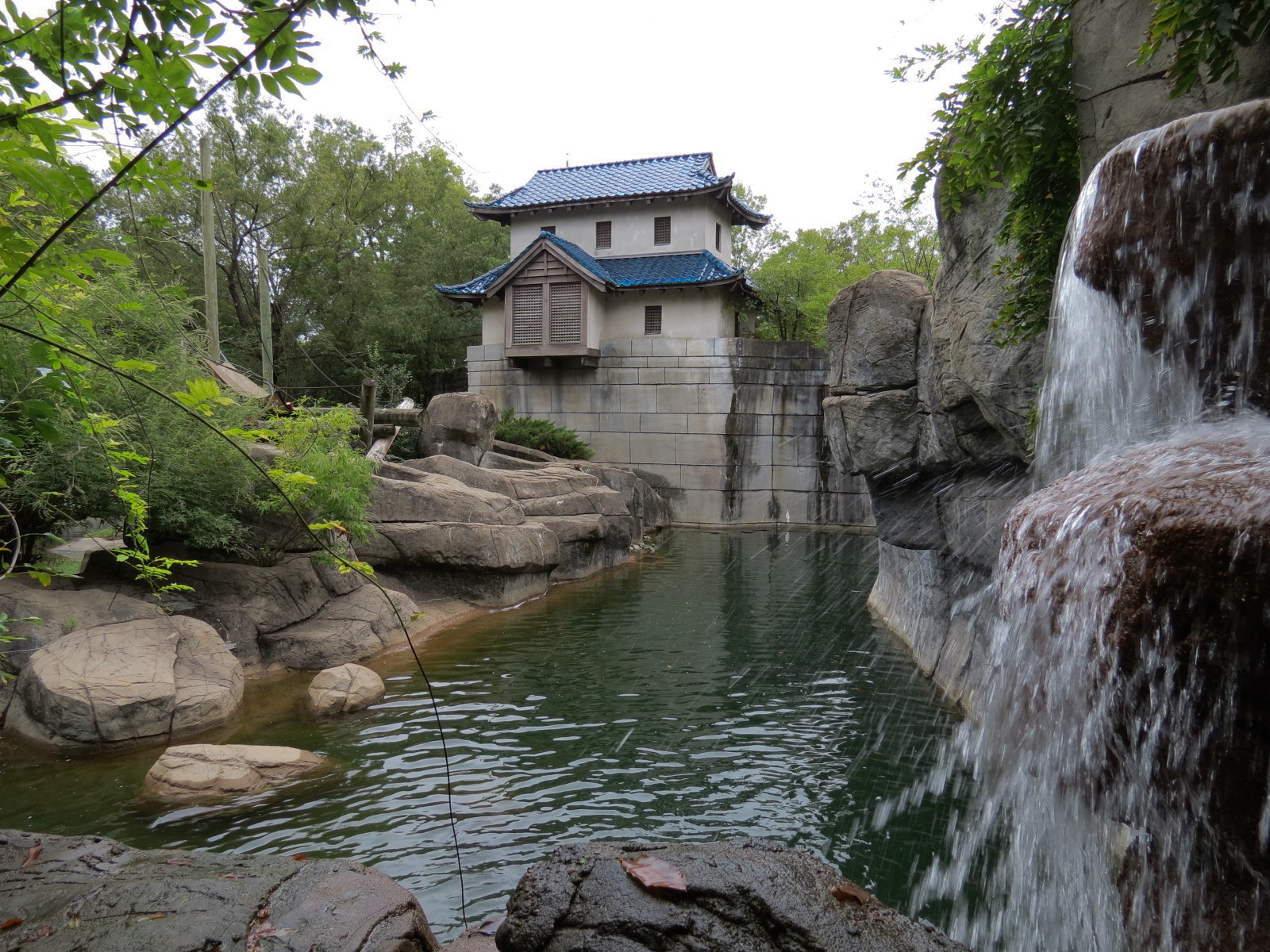 Primate Canyon - Asian Small-clawed Otter, Black and White Ruffed Lemur, and Red Ruffed Lemur Exhibit