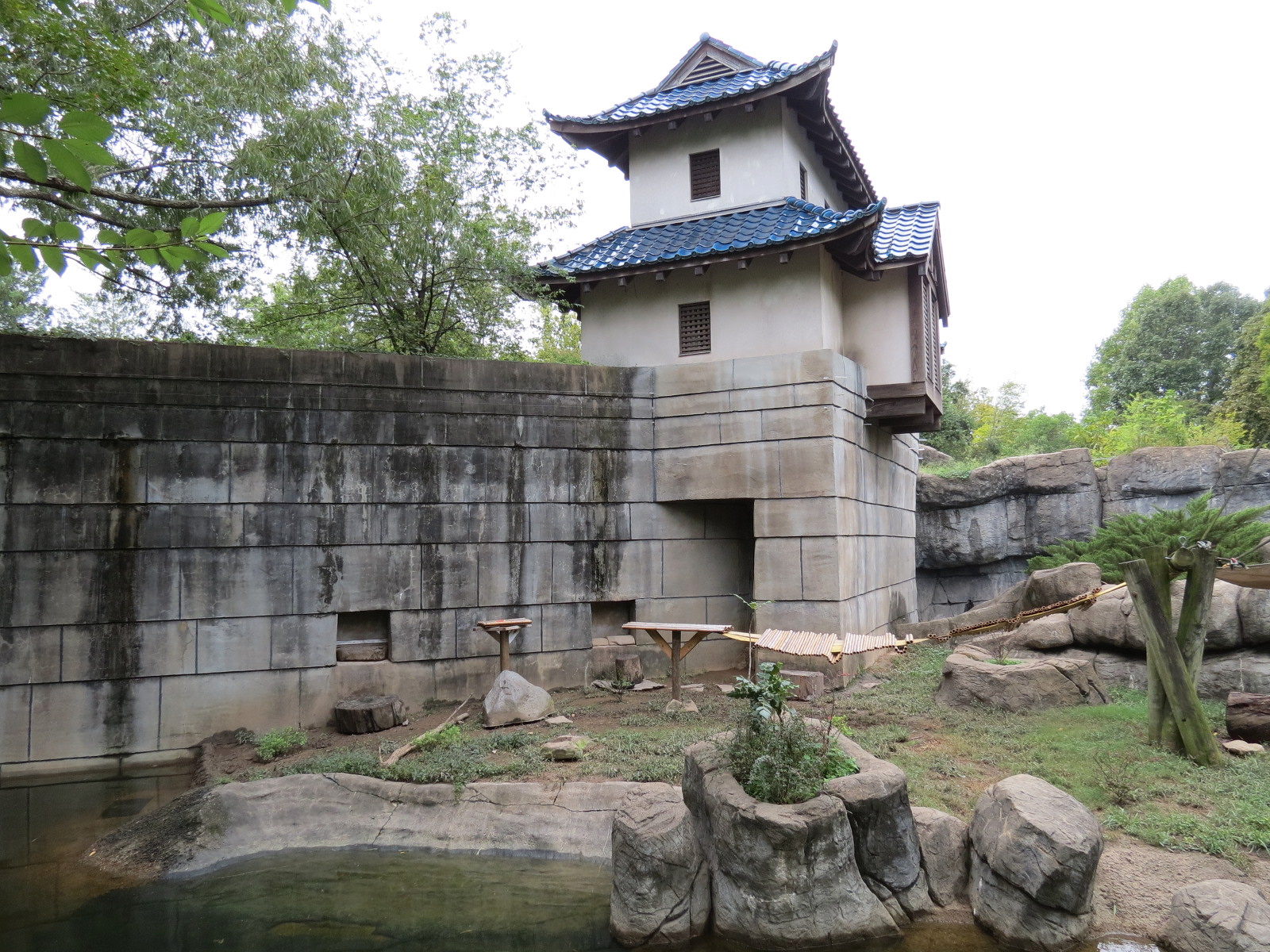 Primate Canyon - Asian Small-clawed Otter, Black and White Ruffed Lemur, and Red Ruffed Lemur Exhibit