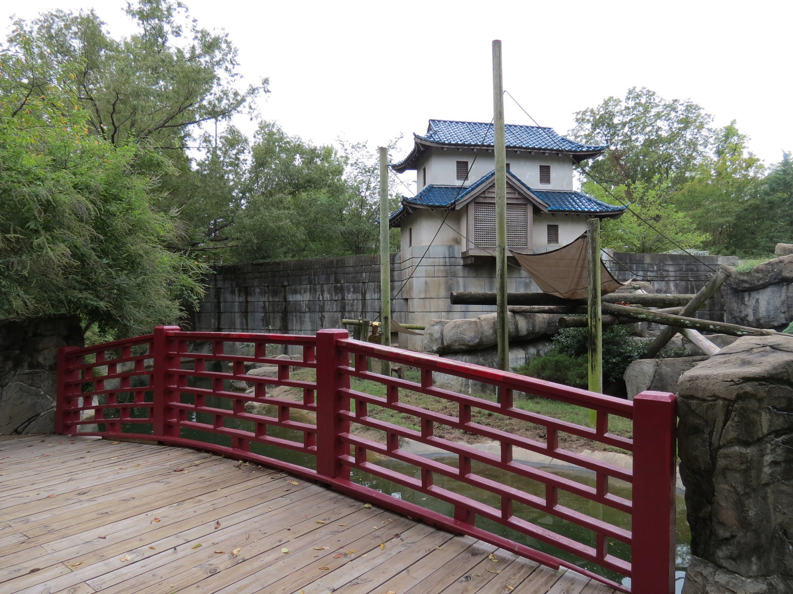 Primate Canyon - Asian Small-clawed Otter, Black and White Ruffed Lemur, and Red Ruffed Lemur Exhibit