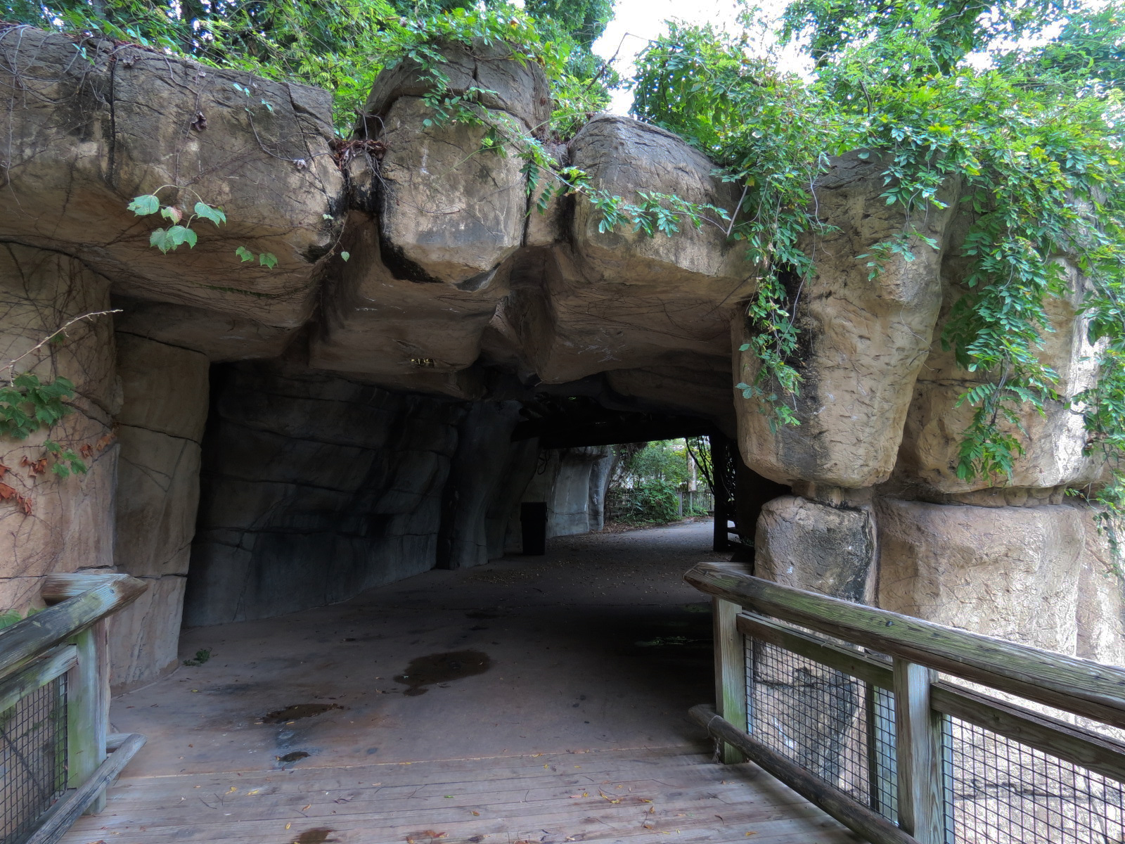 Primate Canyon - Cave Pathway