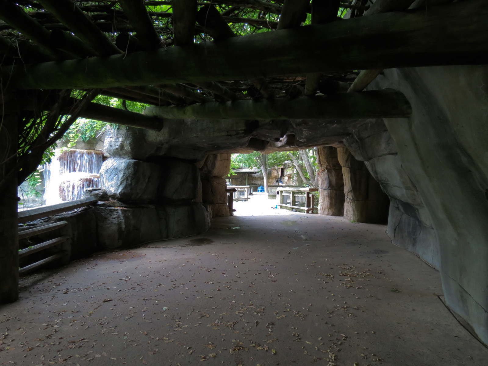 Primate Canyon - Cave Pathway